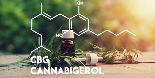 CBG Neboli Cannabigerol - Skrytá budoucnost businessu s konopím! - CARACALYA