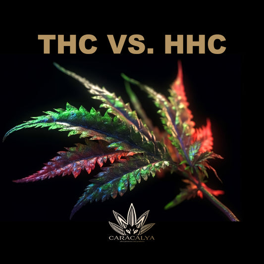 THC vs. HHC: Jaké jsou rozdíly mezi těmito dvěma kanabinoidy?