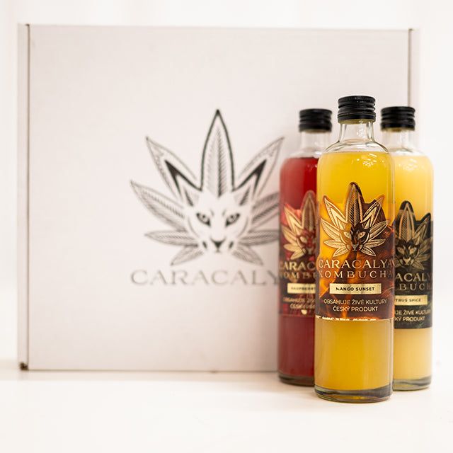 Caracalya Kombucha BOX 12x700ml - CARACALYA