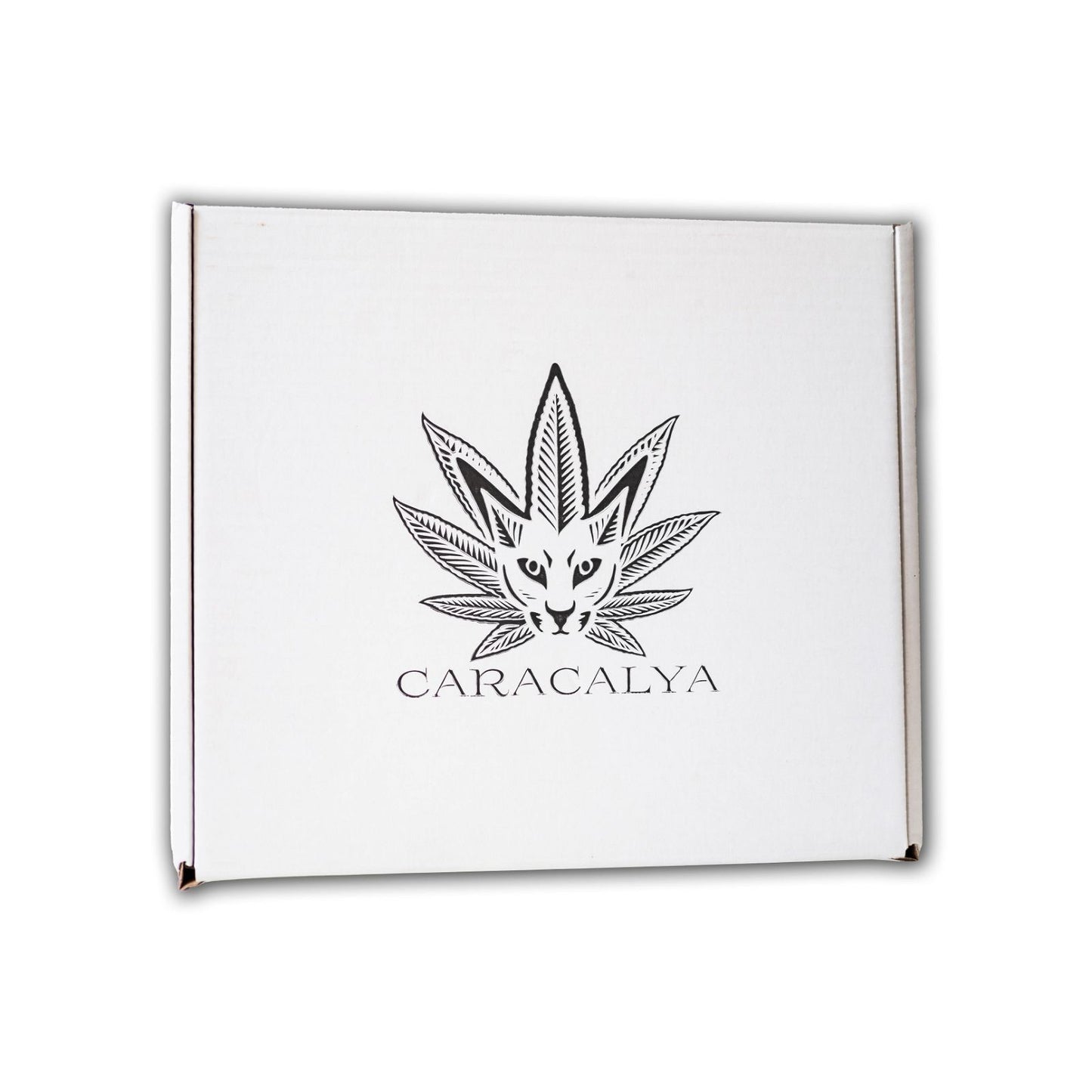 Caracalya Kombucha BOX 12x700ml - CARACALYA