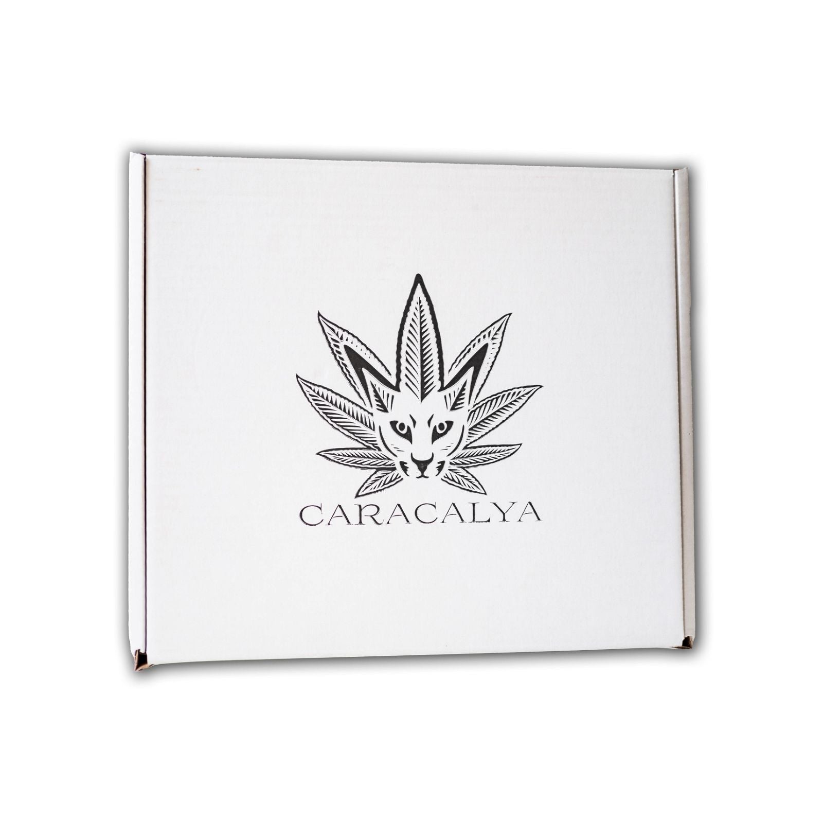 Caracalya Kombucha BOX 12x700ml - CARACALYA