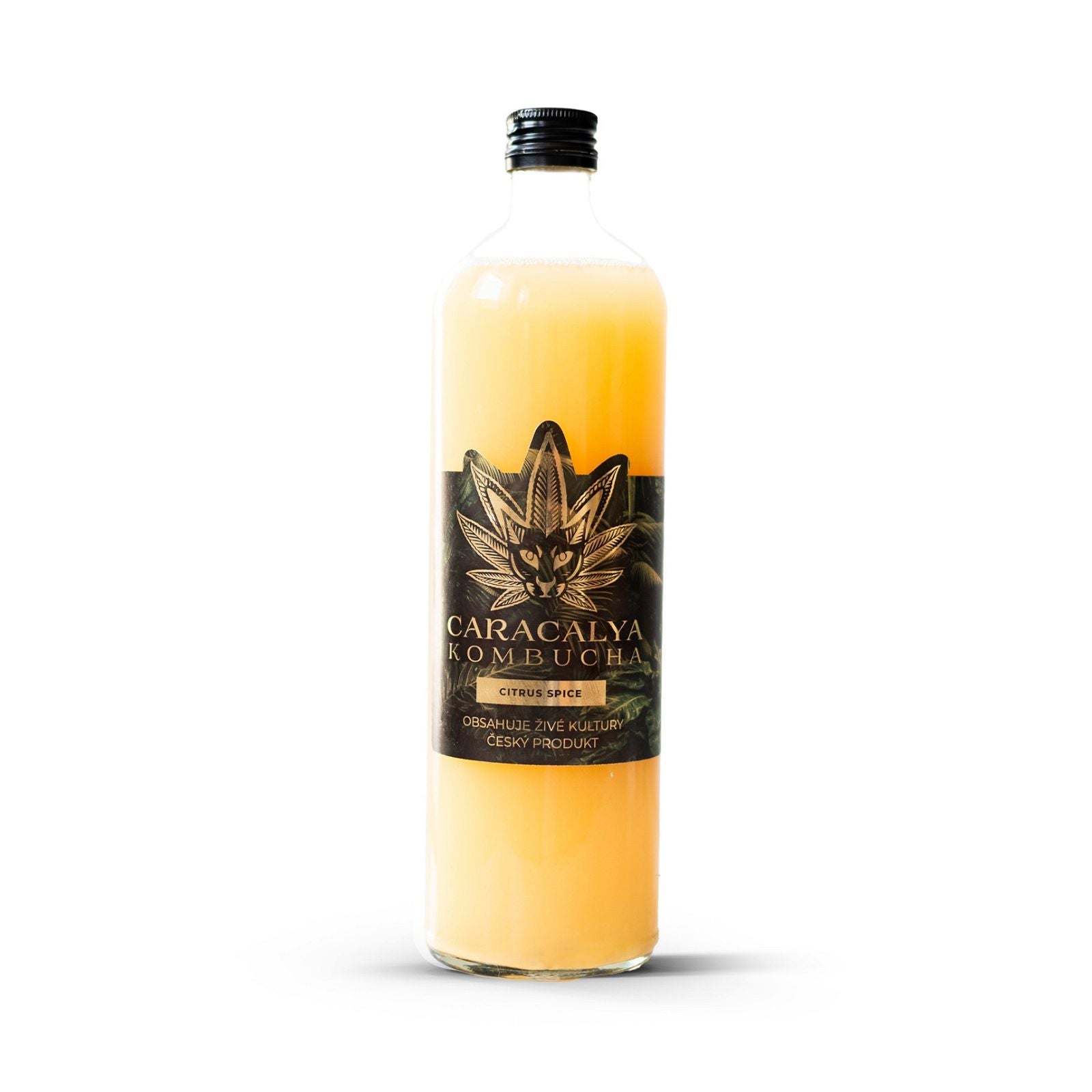 Caracalya Kombucha BOX 12x700ml - CARACALYA