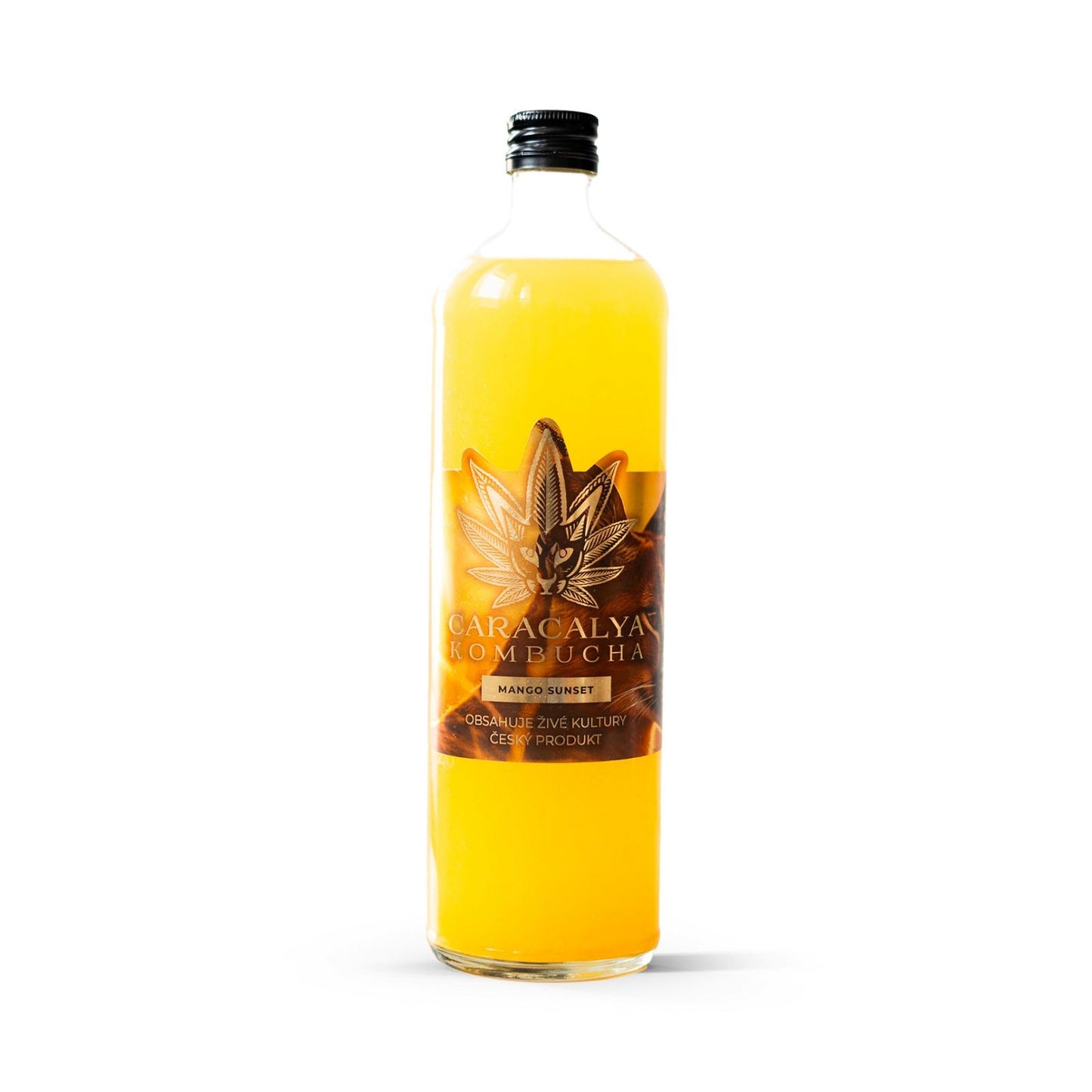 Caracalya Kombucha BOX 12x700ml - CARACALYA