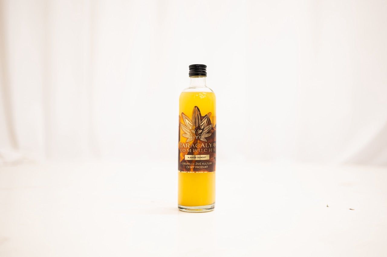 Kombucha box 20x350ml - CARACALYA