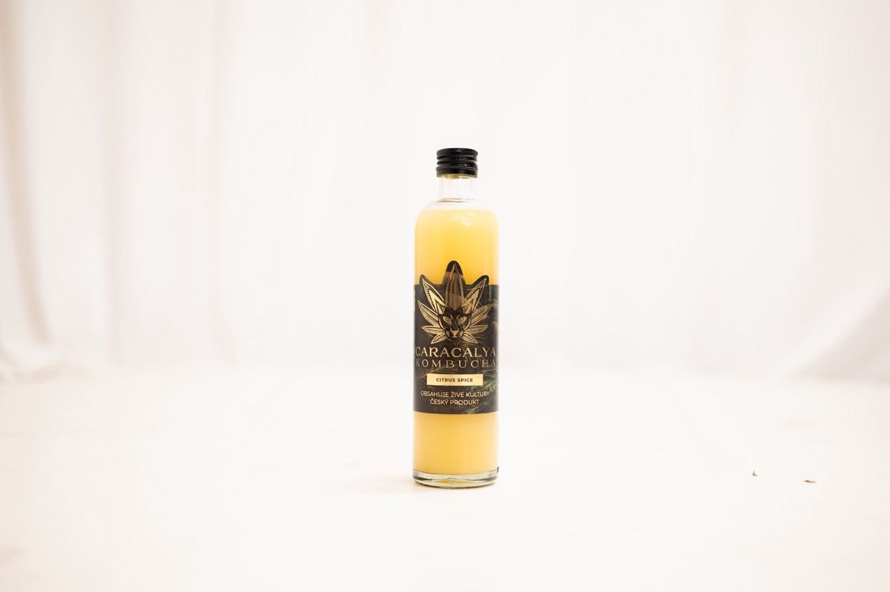 Kombucha box 20x350ml - CARACALYA